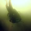 Picture taken during the dive
