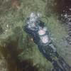 Picture taken during the dive