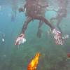 Picture taken during the dive