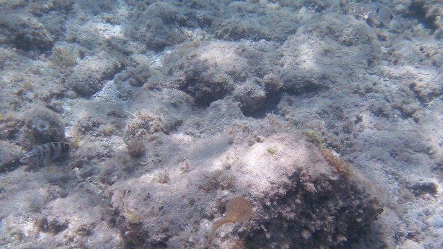 Carthago Diving - Dive Center