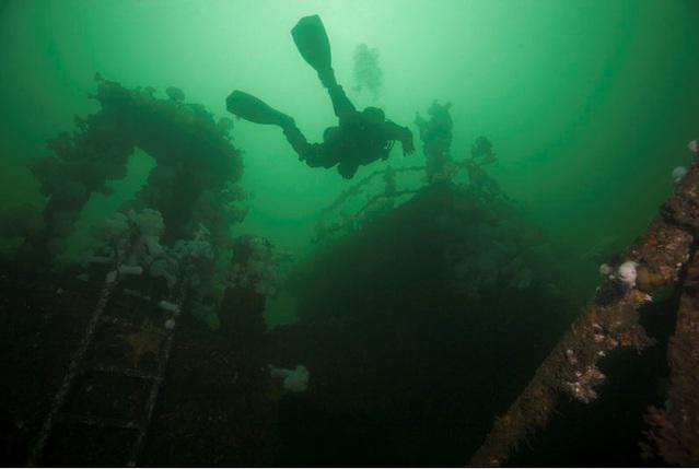 Ocean Quest Dive Centre - Dive Center in Canada