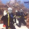 Picture taken during the dive