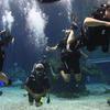 Picture taken during the dive