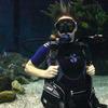 Picture taken during the dive