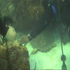 Picture taken during the dive