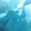 Picture taken during the dive