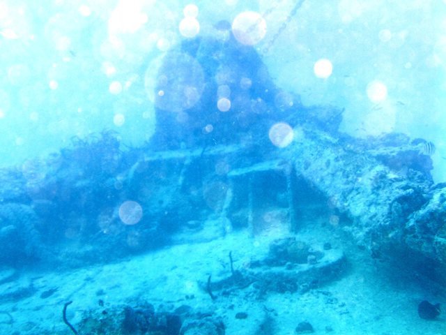 Dive Key West, Inc - Dive Center in United States