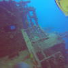 Picture taken during the dive
