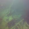 Picture taken during the dive
