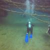 Picture taken during the dive