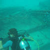 Picture taken during the dive