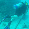 Picture taken during the dive