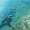 Picture taken during the dive
