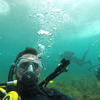 Picture taken during the dive