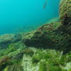 Picture taken during the dive