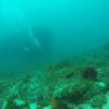 Picture taken during the dive