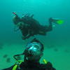 Picture taken during the dive