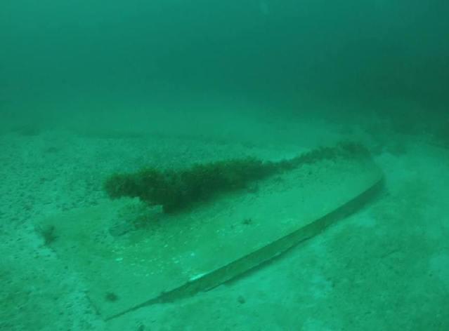 Jupiter Dive Center - Dive Center in United States