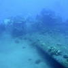 Picture taken during the dive