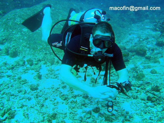 First Buddy Divers - Dive Center in Thailand
