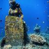 Picture taken during the dive