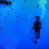 Picture taken during the dive