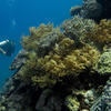 Picture taken during the dive