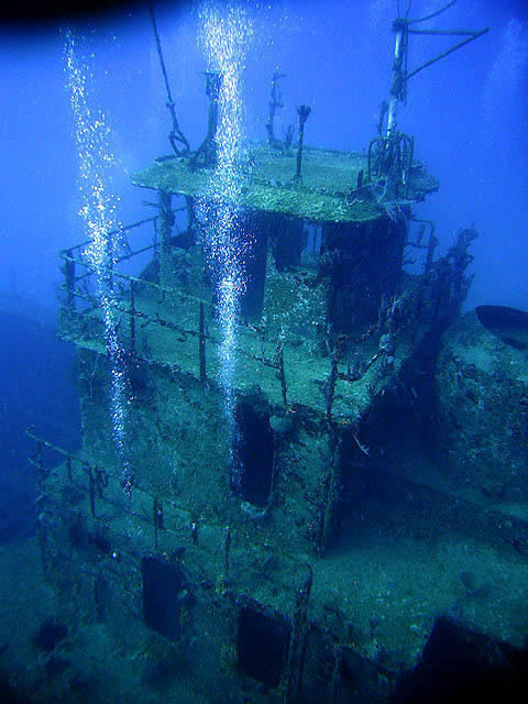 Utila Dive Centre - Dive Center in United States