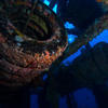 Picture taken during the dive