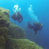 Picture taken during the dive