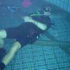 Picture taken during the dive
