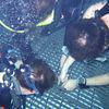 Picture taken during the dive