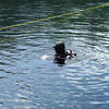 Picture taken during the dive