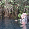 Picture taken during the dive