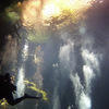 Picture taken during the dive