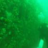 Picture taken during the dive