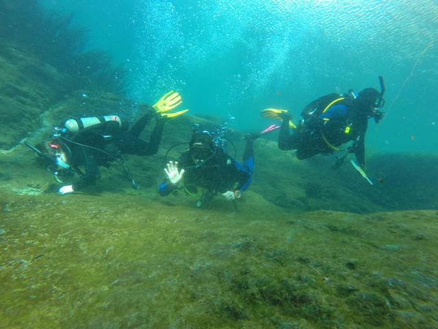 Carolina Dive Center - Dive Center in United States