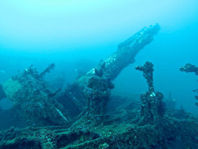 Aquatic Safaris - Dive Center in United States