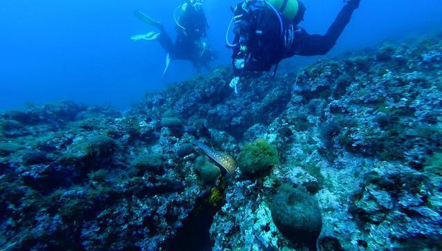 Posidonia Dive - Dive Center in Espagne