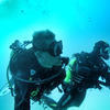 Picture taken during the dive