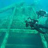 Picture taken during the dive