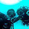 Picture taken during the dive