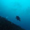 Picture taken during the dive
