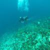 Picture taken during the dive