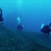 Picture taken during the dive