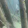 Picture taken during the dive