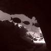 Picture taken during the dive