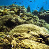 Picture taken during the dive