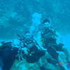 Picture taken during the dive