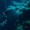 Picture taken during the dive